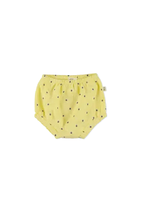 DENNIS271-Yellow
