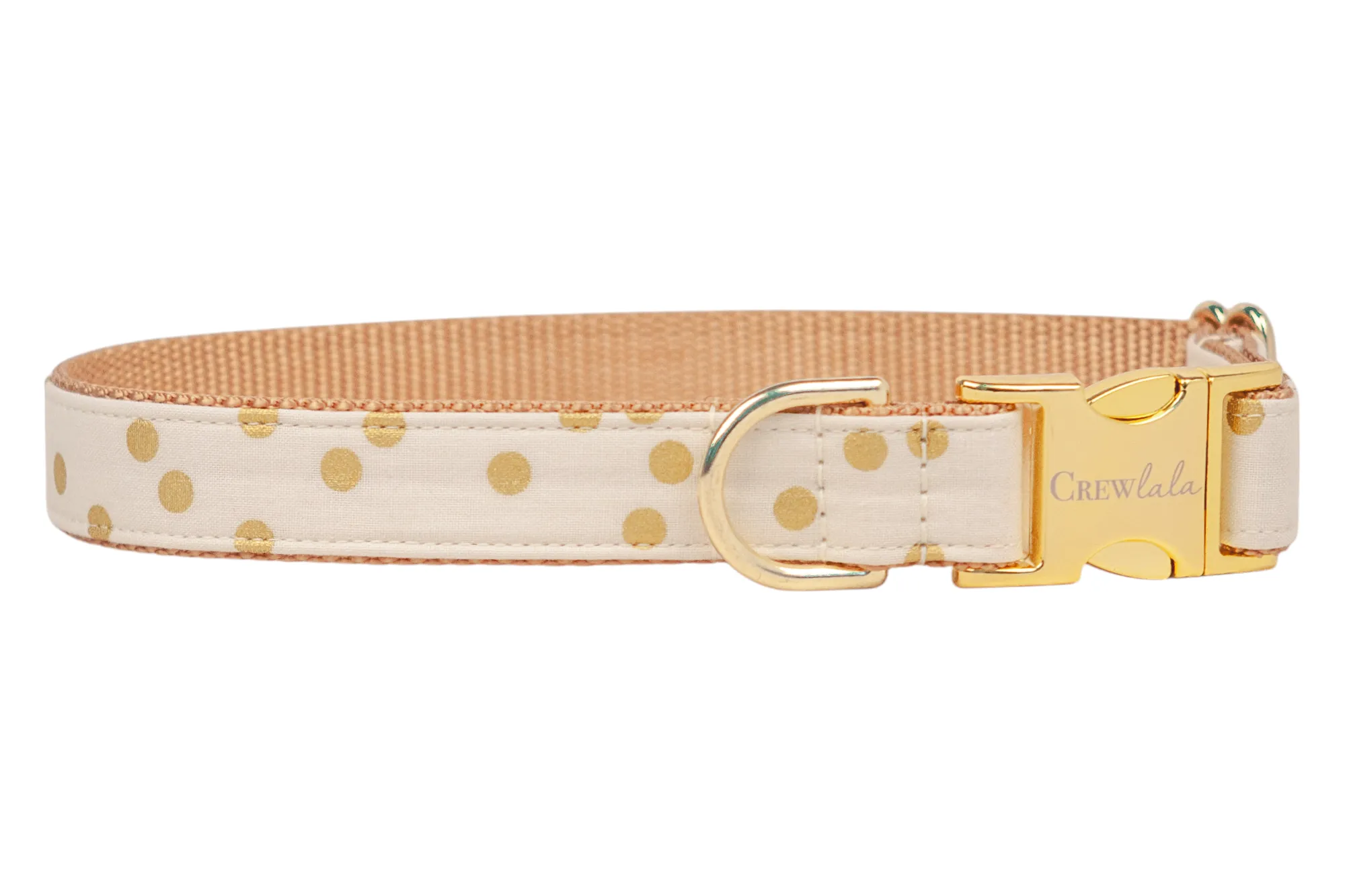 Ivory Party Dot Dog Collar