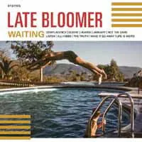 Late Bloomers - Waiting (LP)